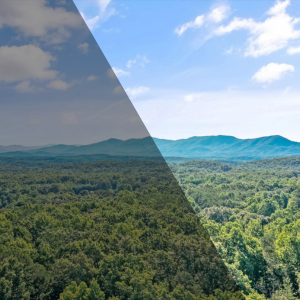 Mountain view over East Tennessee acreage